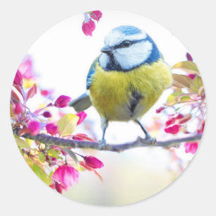 Cute Bird Ronde Sticker