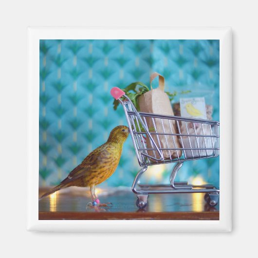 Cute Bird Shopping Magneet (Voorkant)