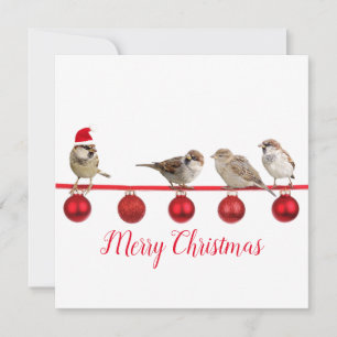 Cute Bird with Santa Hat Merry Kerstmis