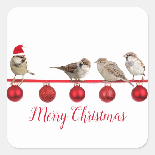 Cute Bird with Santa Hat Merry Kerstmis Vierkante Sticker (Voorkant)