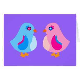 Cute Birds