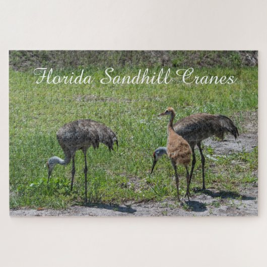Cute Birds Florida Sandhill Crane Schilderachtig N Legpuzzel (Horizontaal)