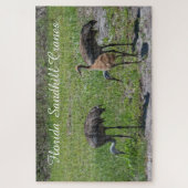 Cute Birds Florida Sandhill Crane Schilderachtig N Legpuzzel (Verticaal)