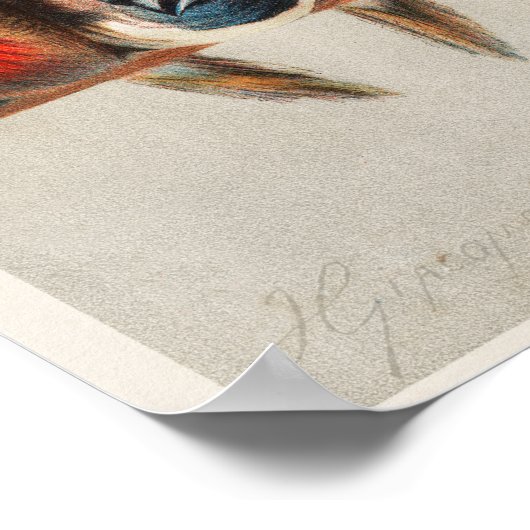 Cute Birds Poster (Hoek)