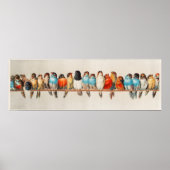 Cute Birds Poster (Voorkant)