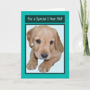 Cute Birthday Card voor 1-jarige jongen Kaart