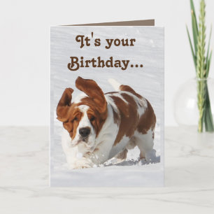 Cute Birthday Card w/Basset Hound & Champagne Kaart