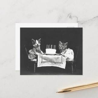 CUTE BIRTHDAY CAT  BRIEFKAART