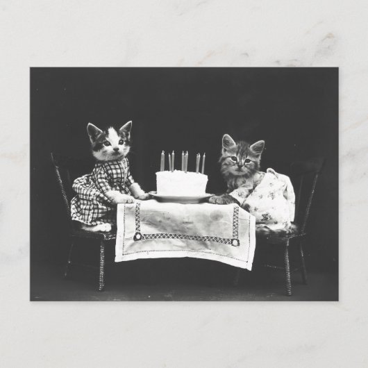CUTE BIRTHDAY CAT  BRIEFKAART (Voorkant)