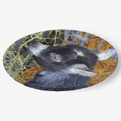 Cute Black Baby Goat Eating Hay Foto Papieren Bordje (Gekanteld)