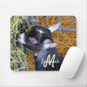 Cute Black Baby Goat Eating Hay Photo Monogram Muismat (Met muis)