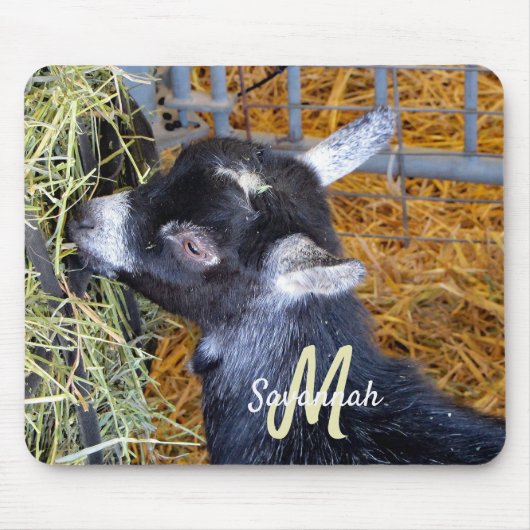 Cute Black Baby Goat Eating Hay Photo Monogram Muismat (Voorkant)