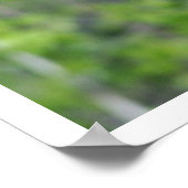 Cute Black Beer Cub die een Poster van de boom bek (Hoek)