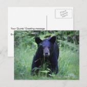 Cute Black Beer Cub in Green Grass Briefkaart (Voorkant / Achterkant)
