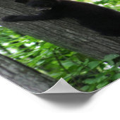 Cute Black Beer Cub klimt op de boom in het bos Poster (Hoek)