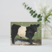 Cute Black Belted Galloway Calf Briefkaart (Staand voorkant)