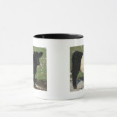 Cute Black Belted Galloway Calf Mok (Midden)