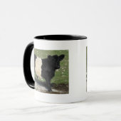 Cute Black Belted Galloway Calf Mok (Voorkant links)