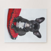 Cute Black BULLDOG Puppy Legpuzzel (Horizontaal)