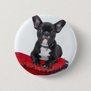 Cute Black BULLDOG Puppy  Ronde Button 5,7 Cm