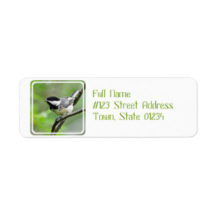 Cute Black Capped Chickadee Etiket