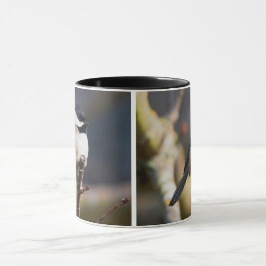 Cute Black Capped Chickadee on Branch Mok (Midden)