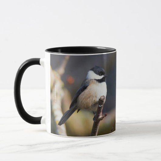 Cute Black Capped Chickadee on Branch Mok (Links)