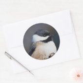 Cute Black Capped Chickadee on Branch Ronde Sticker (Envelop)