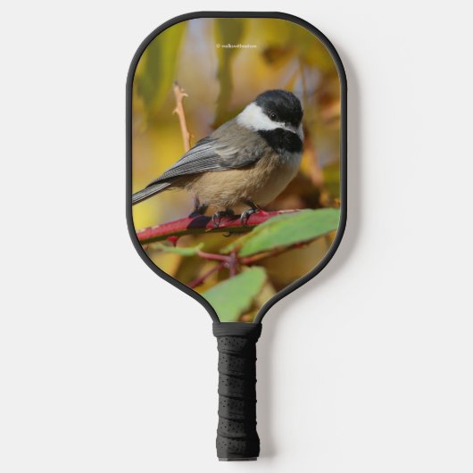 Cute Black Capped Chickadee on the Branch Pickleball Paddle (Voorkant)