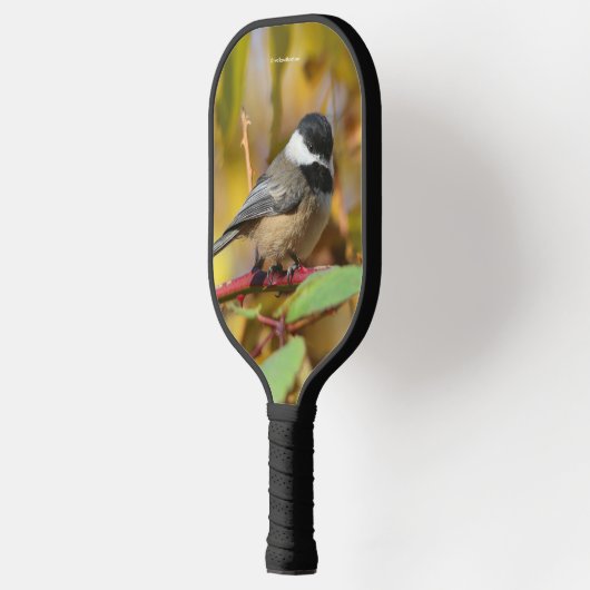 Cute Black Capped Chickadee on the Branch Pickleball Paddle (Links)