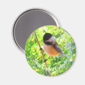 Cute Black Capped Chickadee Wilde Birds Natuur Magneet (Voorkant / Achterkant)
