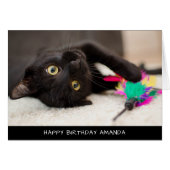 Cute Black Cat Birthday-kaart (Voorkant Horizontaal)