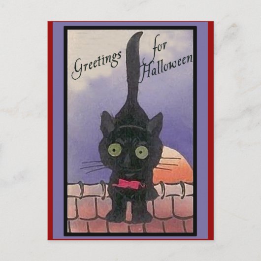 Cute Black Cat Halloween-kaarten Briefkaart (Voorkant)
