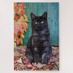 Cute Black Cat Kitten met Red Leaves Blue Dep - Legpuzzel