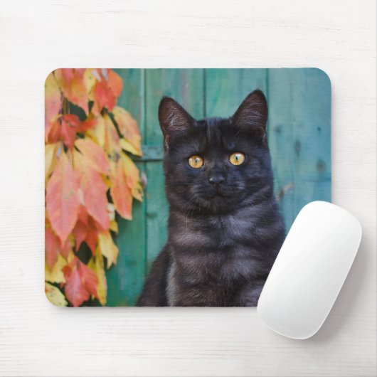 Cute Black Cat Kitten met rode bladeren met blauwe Muismat (Met muis)