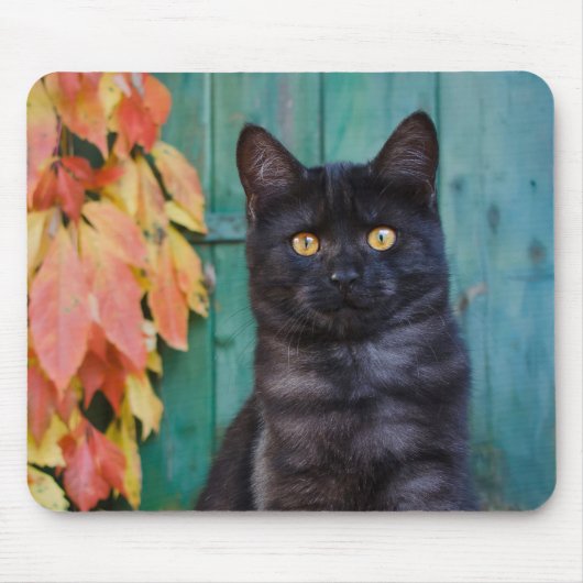 Cute Black Cat Kitten met rode bladeren met blauwe Muismat (Voorkant)