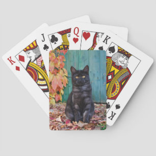 Cute Black Cat Kitten met rode bladeren met blauwe Pokerkaarten