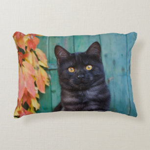 Cute Black Cat Kitten met rode lederen blauwe deur Decoratief Kussen