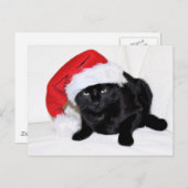 Cute Black Cat met Santa Hat Briefkaart (Voorkant / Achterkant)