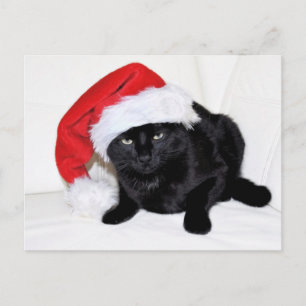Cute Black Cat met Santa Hat Briefkaart