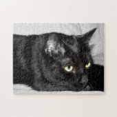 Cute Black Cat Portrait Legpuzzel (Horizontaal)