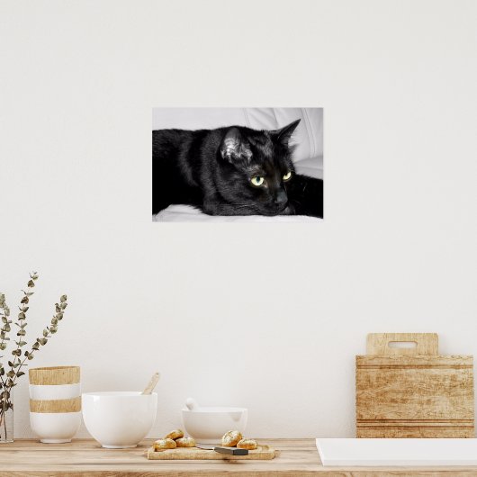 Cute Black Cat Portrait Poster (Keuken)