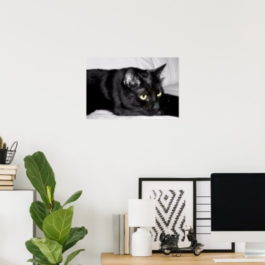Cute Black Cat Portrait Poster (Thuiskantoor)