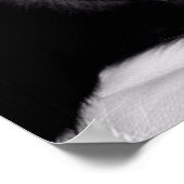 Cute Black Cat Portrait Poster (Hoek)