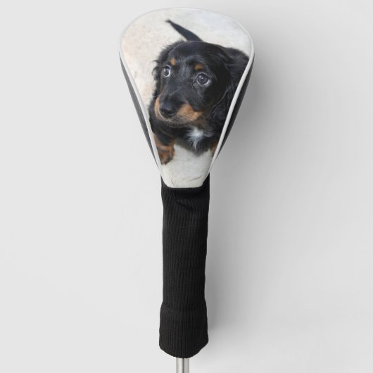 Cute black Dachshund Puppy Dog Golfheadcover (Voorkant)