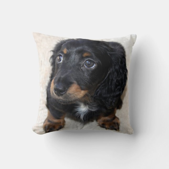 Cute black Dachshund Puppy Dog Kussen (Voorkant)