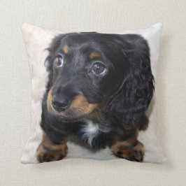 Cute black Dachshund Puppy Dog Kussen