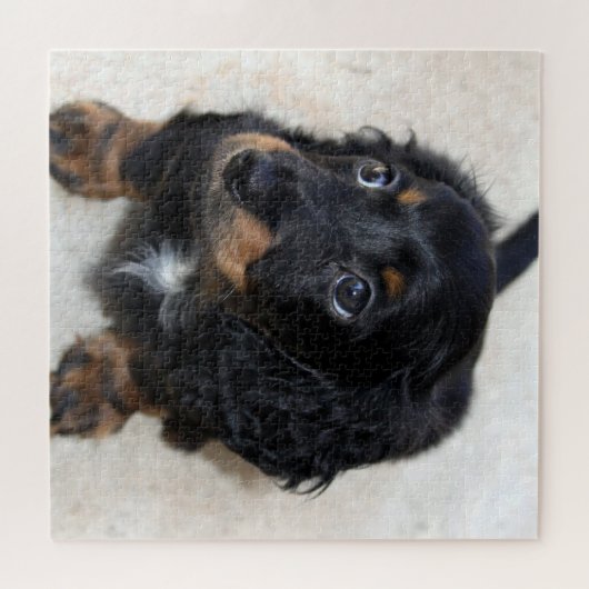 Cute black Dachshund Puppy Dog Legpuzzel (Horizontaal)