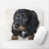 Cute black Dachshund Puppy Dog Muismat (Met muis)