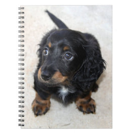 Cute black Dachshund Puppy Dog Notitieboek